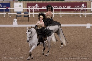 Lusitano Breed Society of Great Britain Show - Hartpury College - 27th June 2009